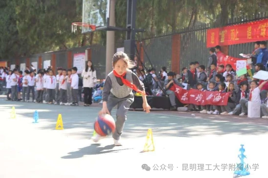 篮球试训前的体能训练方案_1